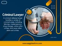 Saggi Law Firm image 14